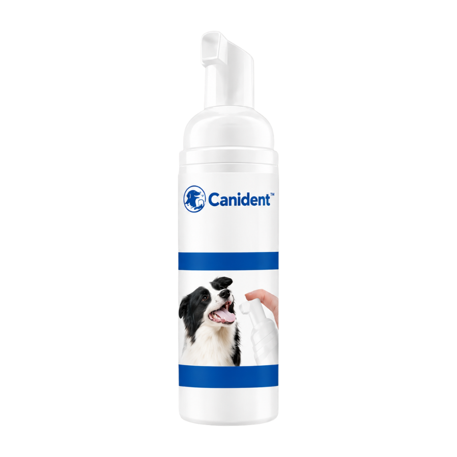 Canident™