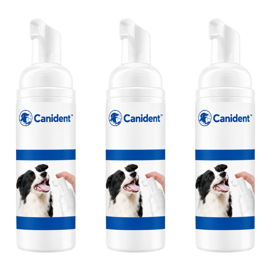 Canident™