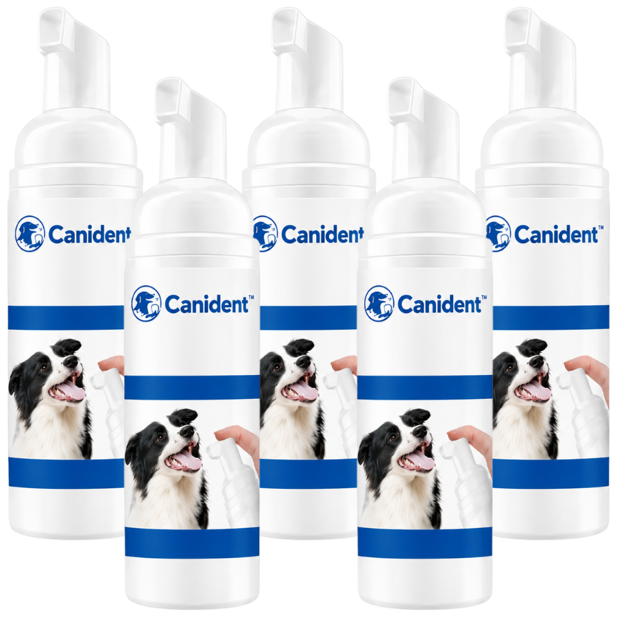 Canident™
